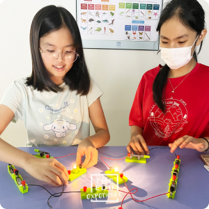 Primary School Science Tuition Curriculum