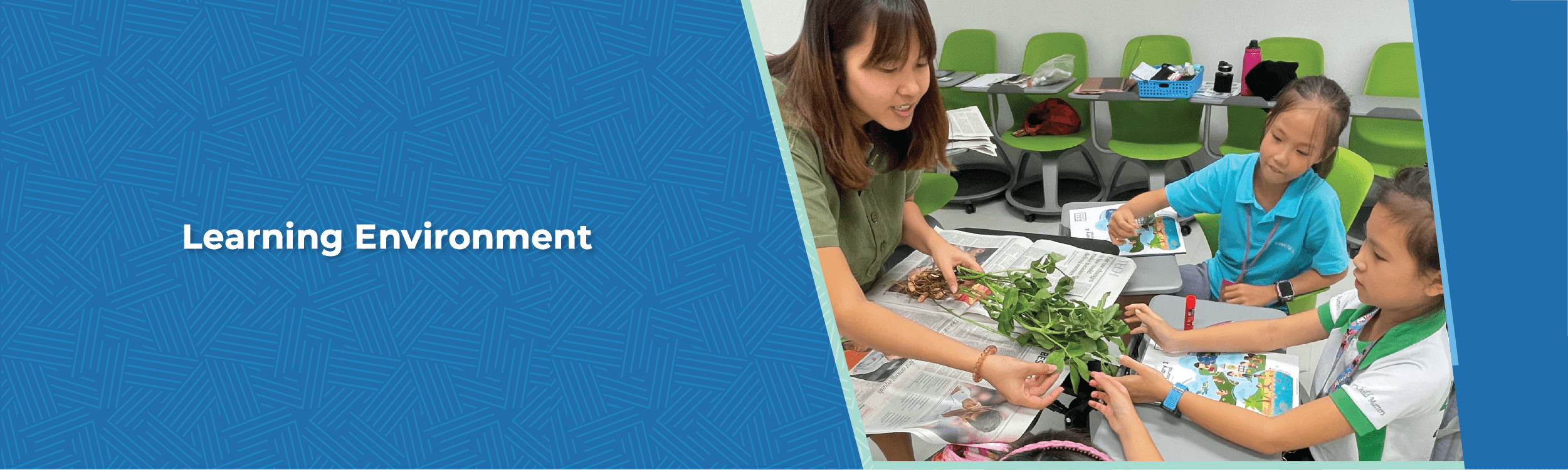 Learning Environment