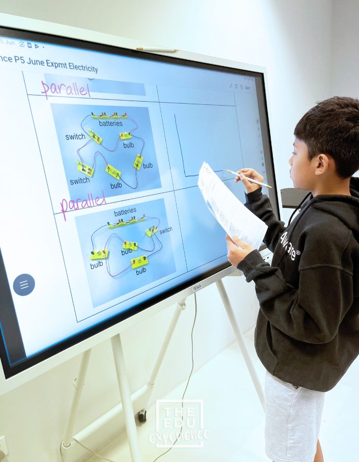 The Education Experience