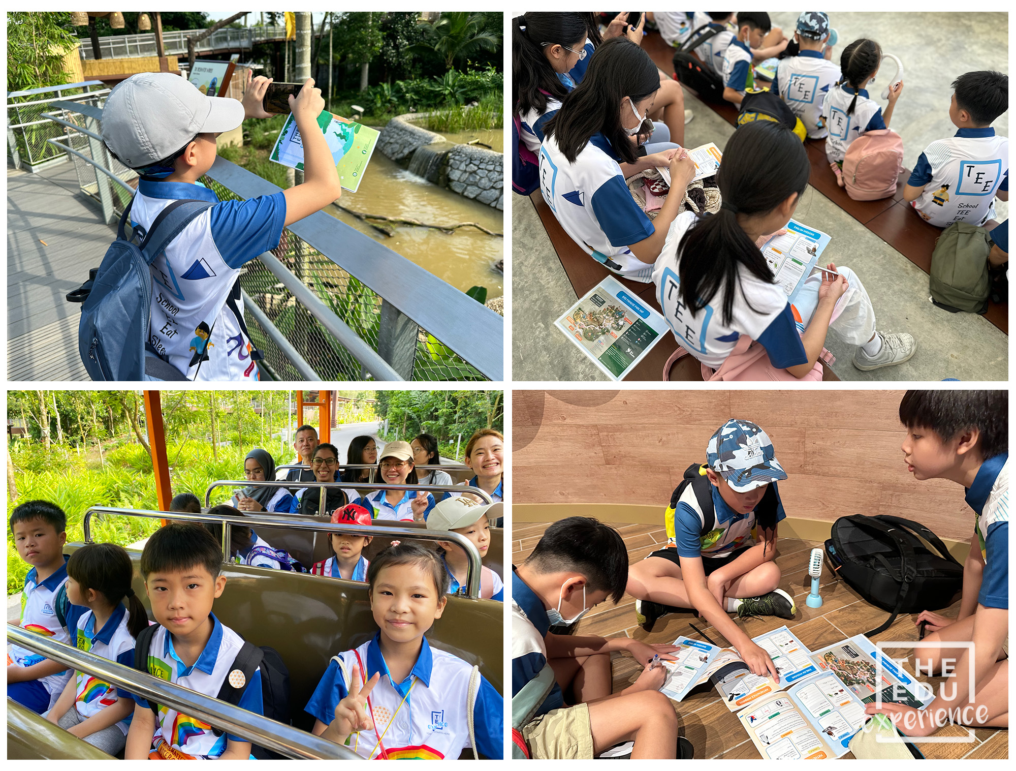 Learning Journey