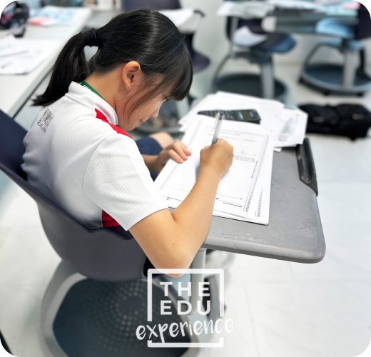 Independent Learning with Teacher Support