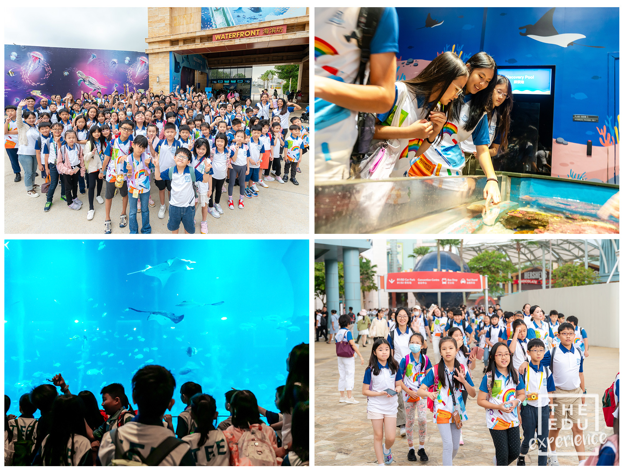 S.E.A. Aquarium